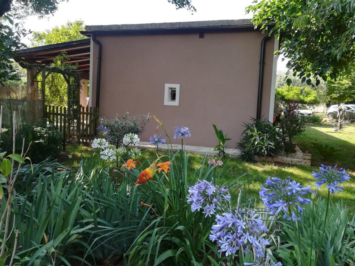 Apartman "Almond House 2" Pula Exterior photo